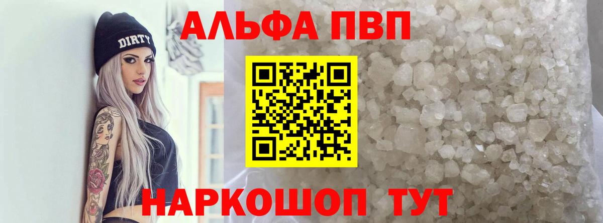 Альфа ПВП СК КРИС Светлоград