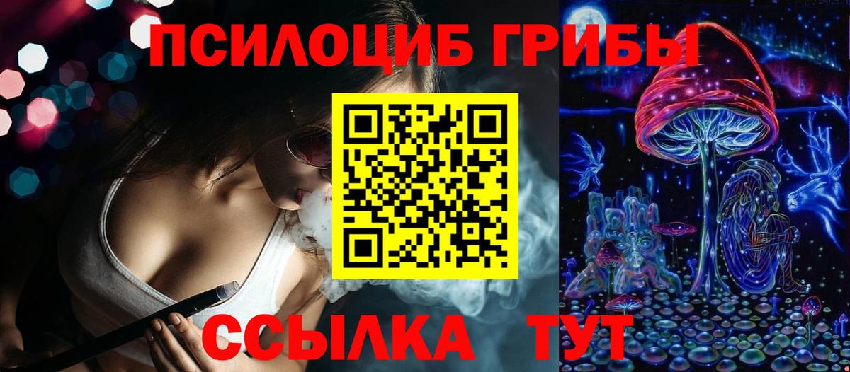 Галлюциногенные грибы Psilocybe Светлоград